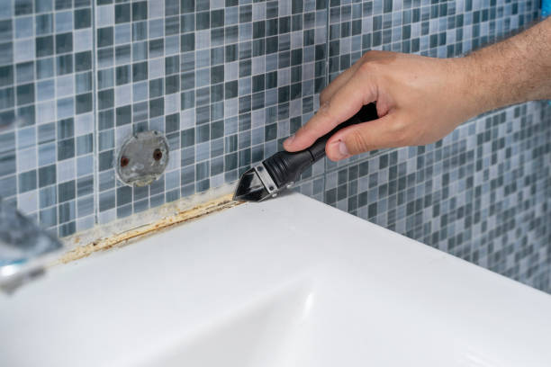 Best Emergency Mold Removal  in Altamont, NY